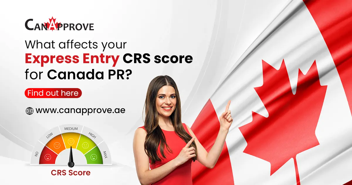 The Story And Analysis Of Canada Express Entry Draws Since The Pandemic